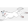 Wegspringender Wolf