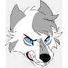 Aggressive wolf