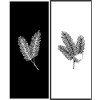 Pine Branch