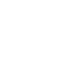 Beetle