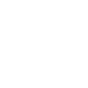 Beetle