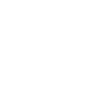 Beetle