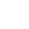 Australian beetle