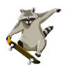 Funny Skateboarding Skater Raccoon