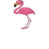 Funny flamingo graphics