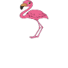 Funny flamingo graphics