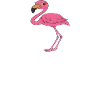 Funny flamingo graphics