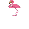 Funny flamingo graphics