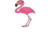 Funny flamingo graphics