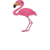 Funny flamingo graphics