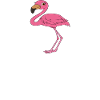 Funny flamingo graphics