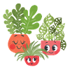 Happy Plants