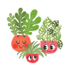 Nur noch eine Pflanze, versprochen!