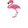 Funny flamingo graphics