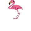 Funny flamingo graphics