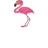 Funny flamingo graphics