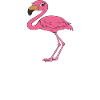 Funny flamingo graphics