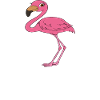 Funny flamingo graphics