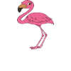 Funny flamingo graphics