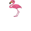 Funny flamingo graphics