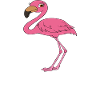 Funny flamingo graphics