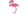 Funny flamingo graphics