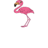 Drôles de graphismes flamants roses