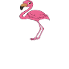 Funny flamingo graphics
