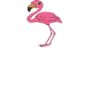 Funny flamingo graphics