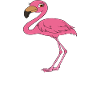 Funny flamingo graphics