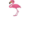 Funny flamingo graphics