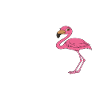 Funny flamingo graphics