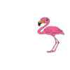 Funny flamingo graphics
