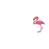 Lustige Flamingo-Grafik