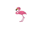 Funny flamingo graphics