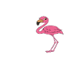 Lustige Flamingo-Grafik
