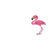 Funny flamingo graphics