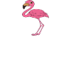 Funny flamingo graphics