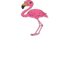 Funny flamingo graphics