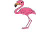 Funny flamingo graphics