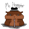 Mr Hamster