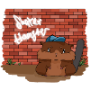 Skater Hamster