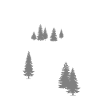 Mountain Bike Trail