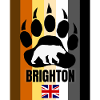 Brighton gay bear flag