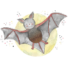 Bat Vampire Teeth