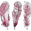 Pen