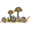 Snails