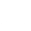 Ferret Mom - Animal