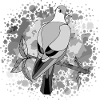 Oiseau
