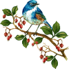 Bunter Vogel